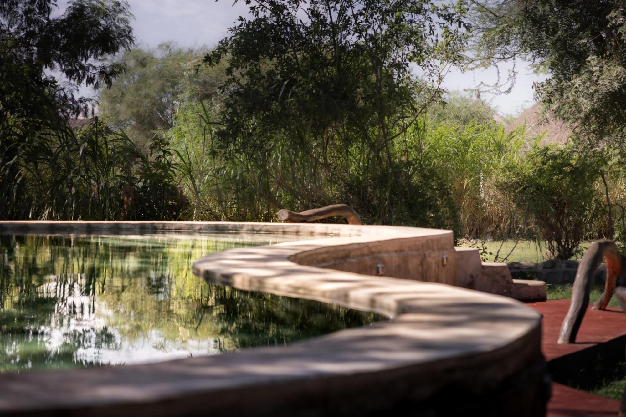 Maasai giraffe eco lodge Mtowabaga Esterno foto