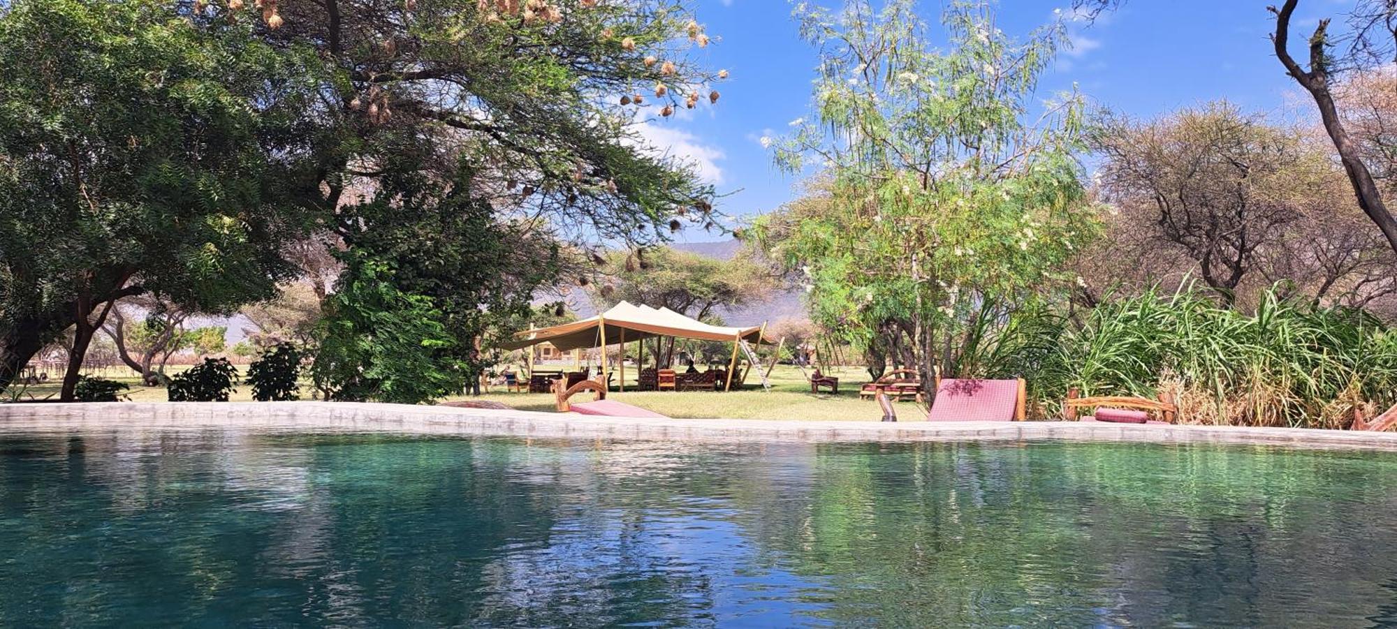 Maasai giraffe eco lodge Mtowabaga Esterno foto